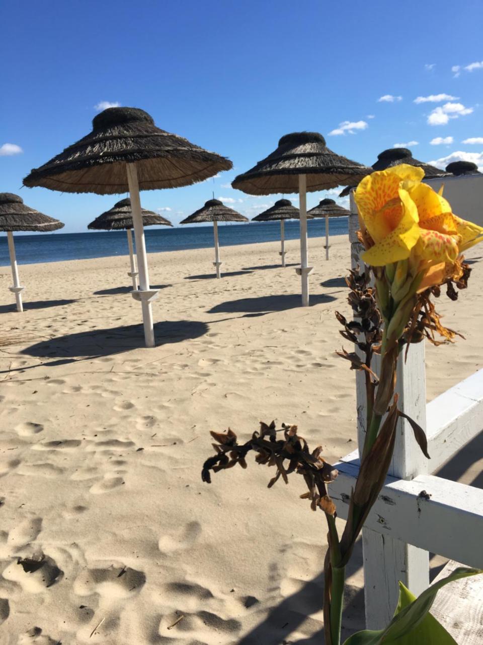 Jp Sopot Apartamenty Luaran gambar